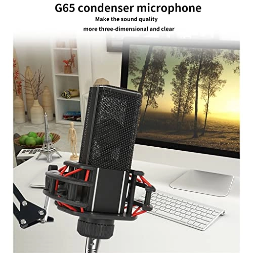 G65 Wired Microphone