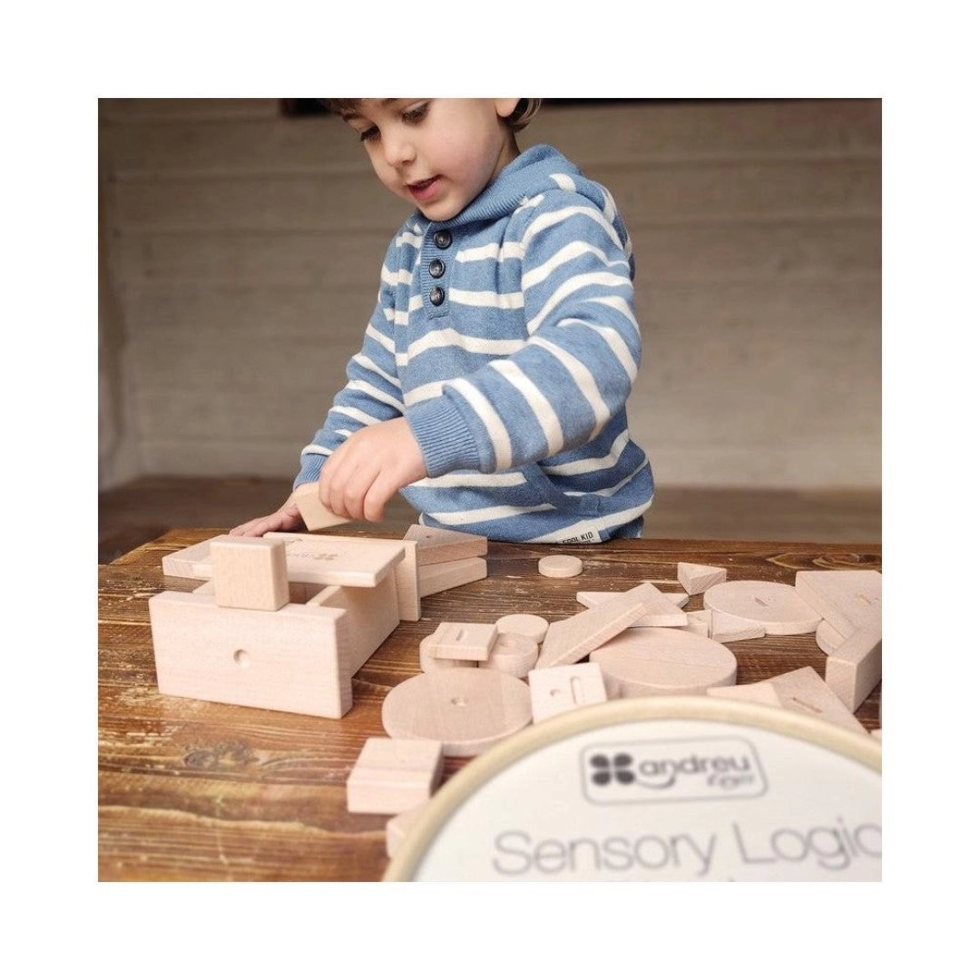 Sensory Logic Blocks - 2 years+