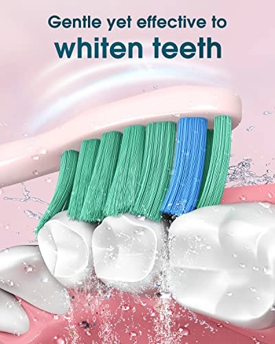 Y01 - 6 Brush Heads Type C 180 Days