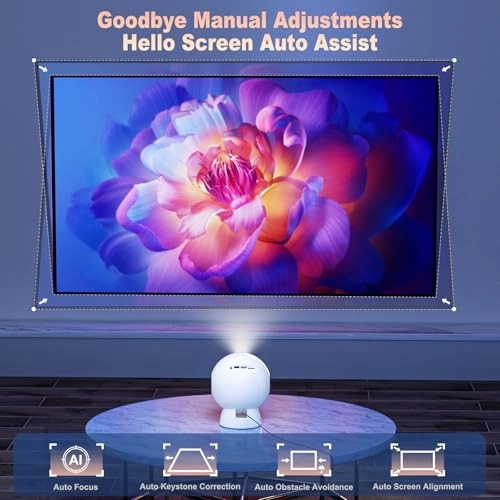 Q1 1280 x 1024 Pixels