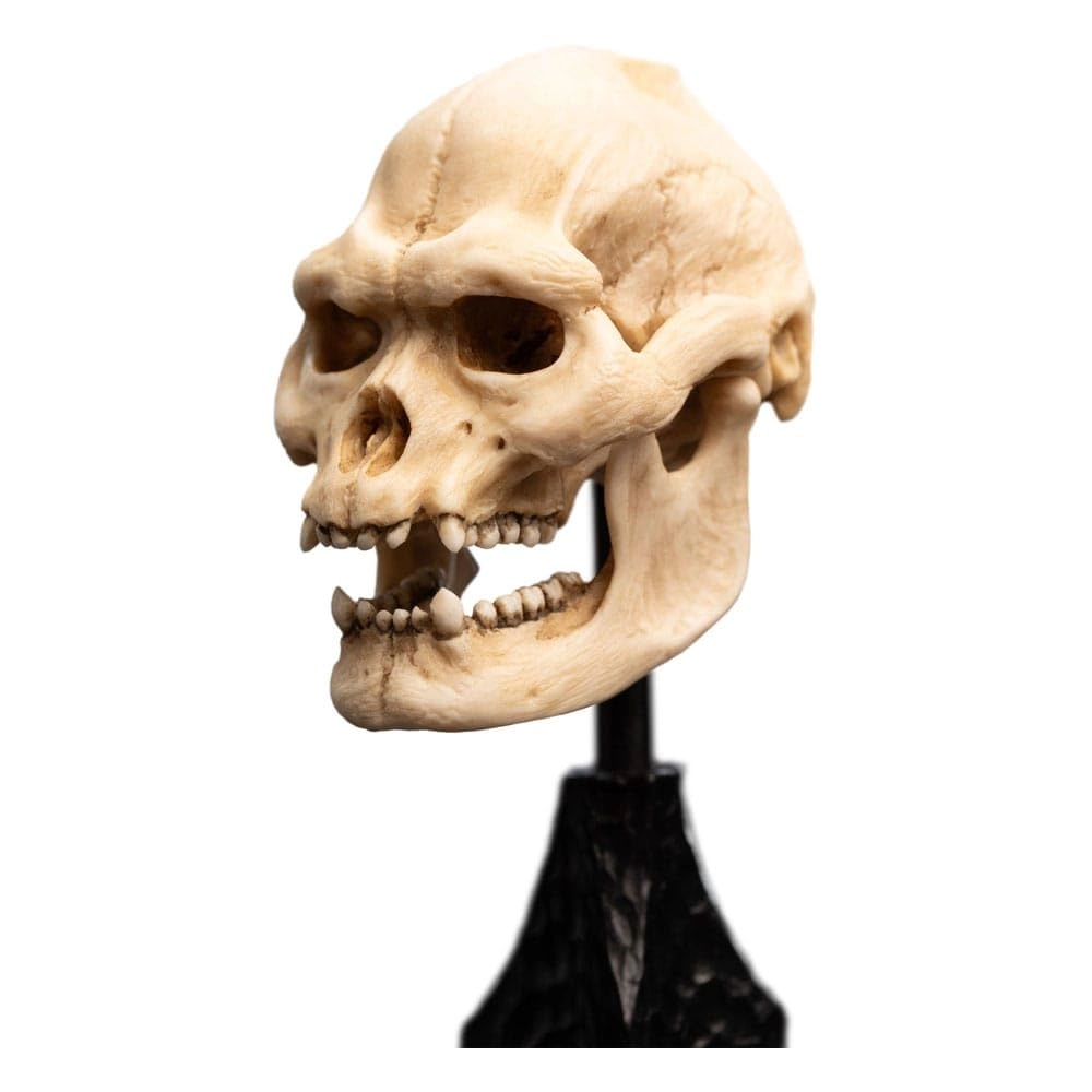 Skull of Lurtz - The Lord of The Rings (14.5 cm)