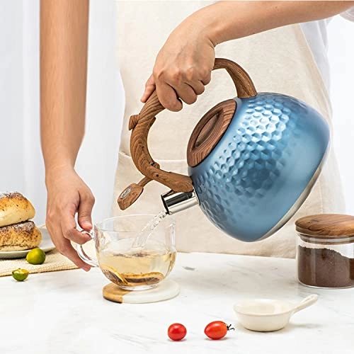 Whistling Kettle - 2.8L