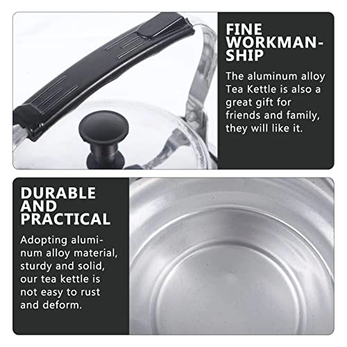 Aluminum Small Teapot - 1 kettle