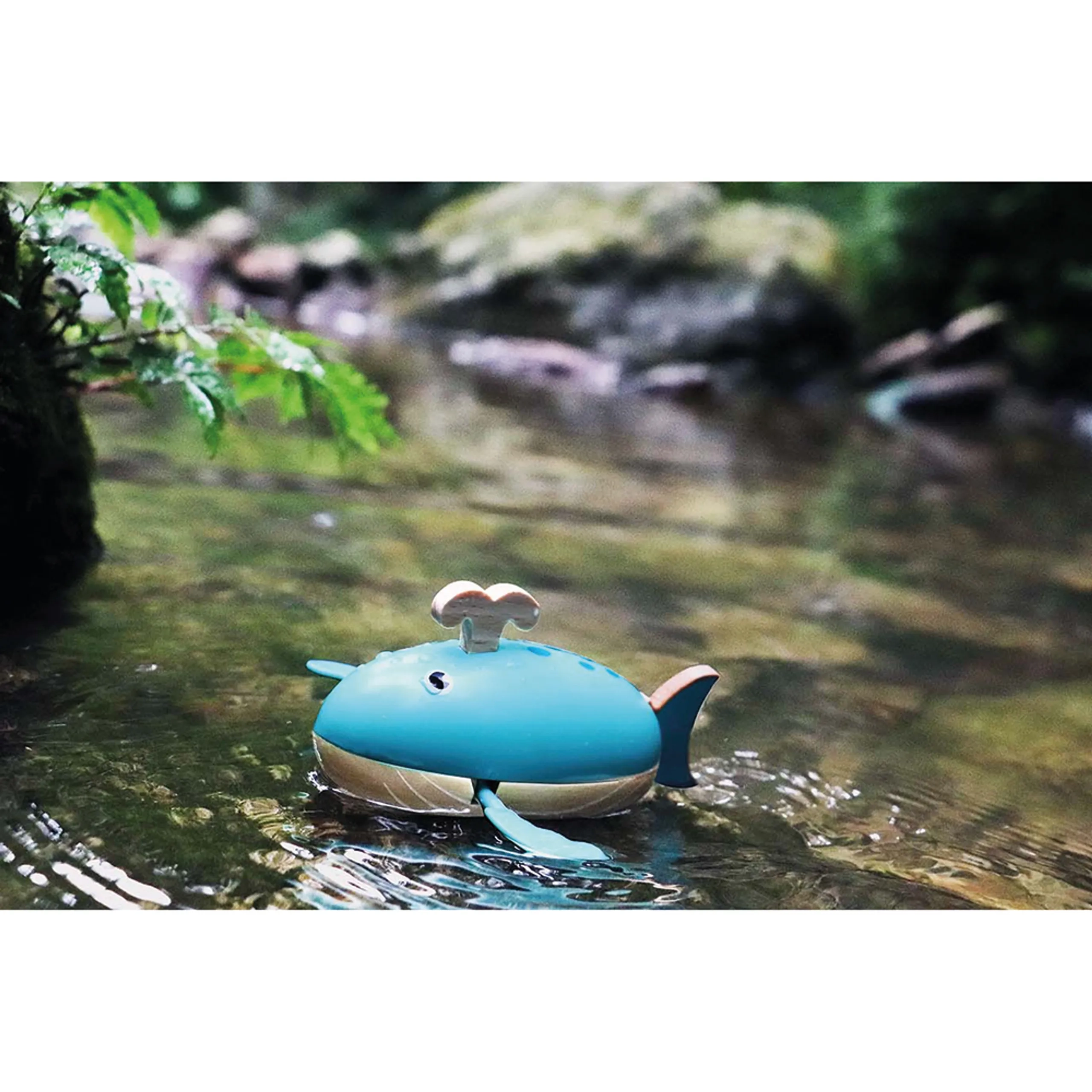 Wind Up Water Shark & Whale Bundle