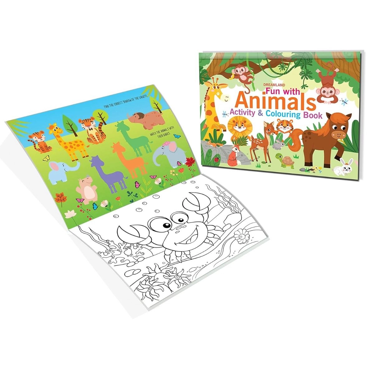 Maths Activity Books Pack - Ages 4-6