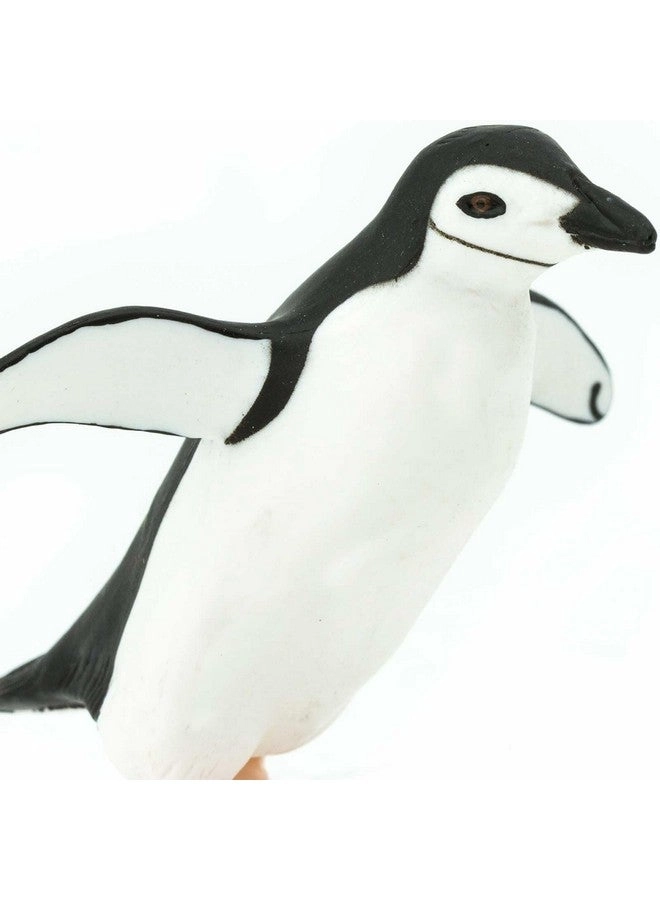 Chinstrap Penguin