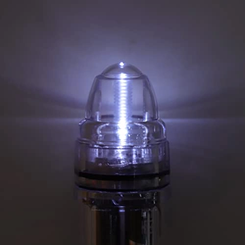 Underwater Fish Light