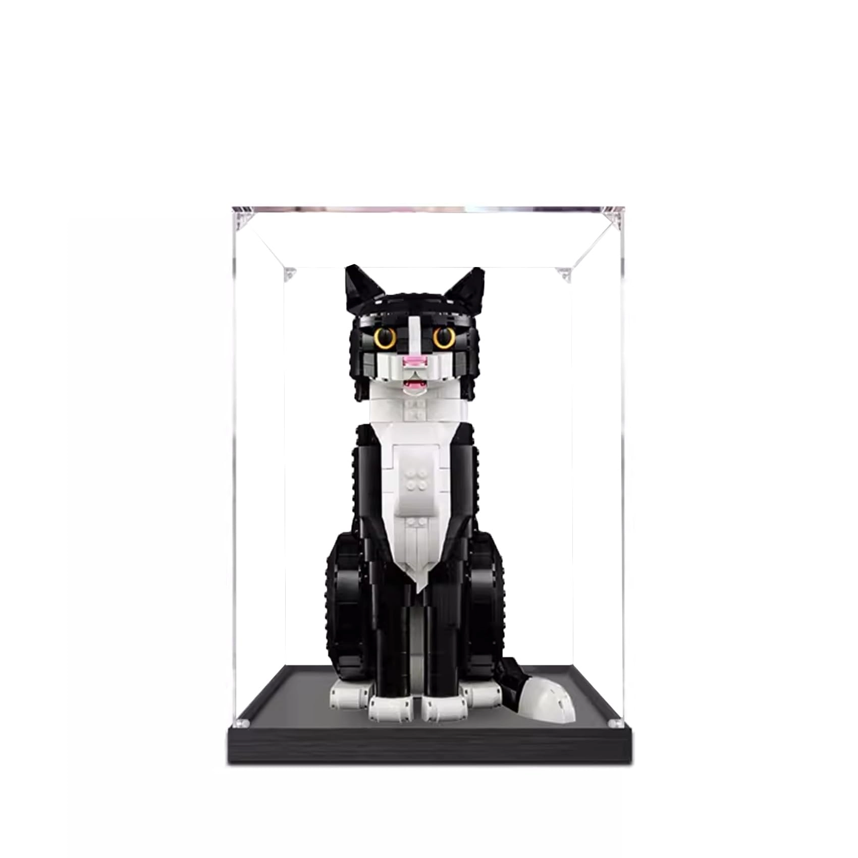 Acrylic Display Case