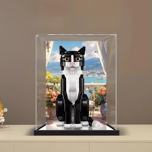 Acrylic Display Case