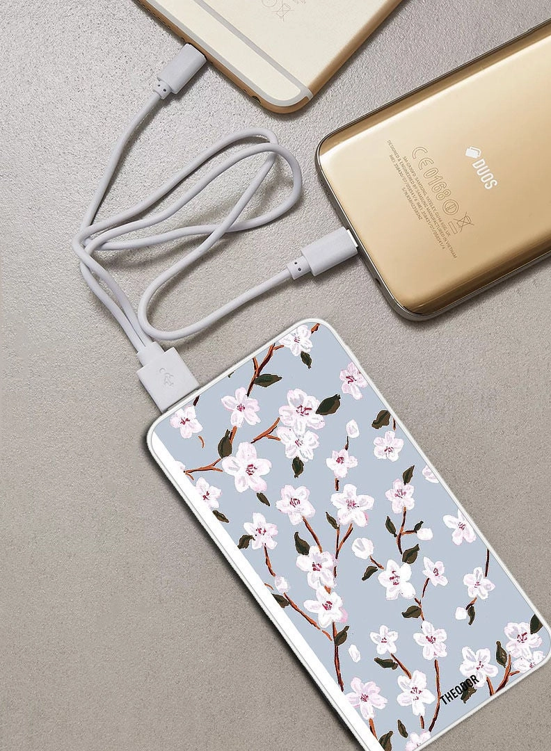 PPBA674 - 10000 mAh 18W Fast charging