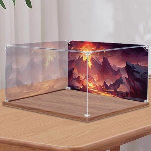 Acrylic Display Case