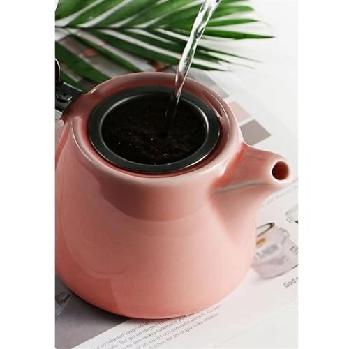 Kettle - 550ml Gooseneck