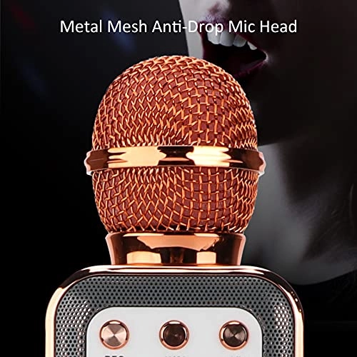 Microphone Speaker - 5W