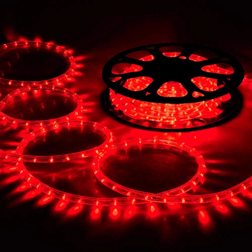 LED Rope Lights - 100ft