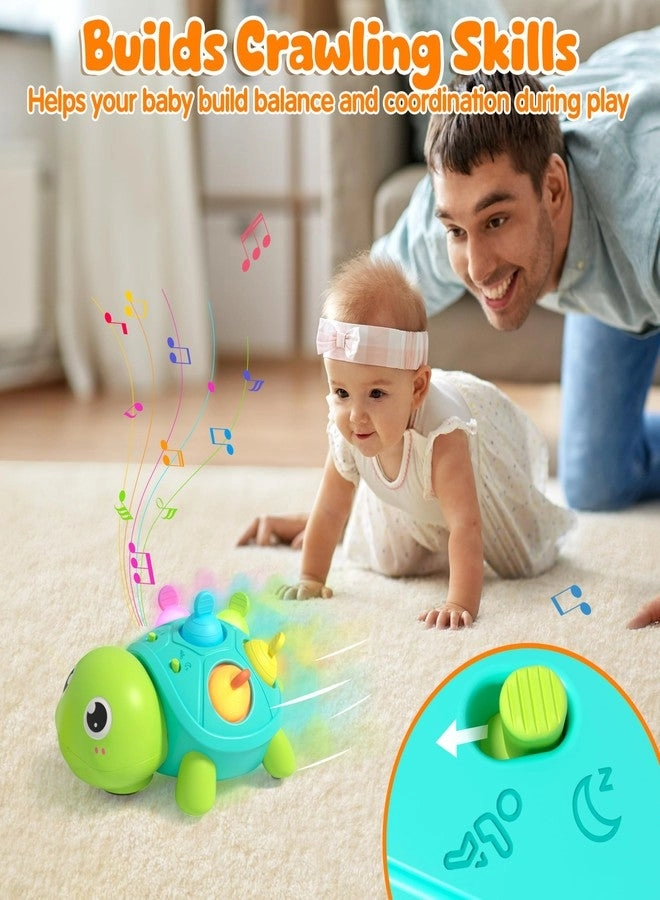 Turtle Musical Toy - 6-12 months