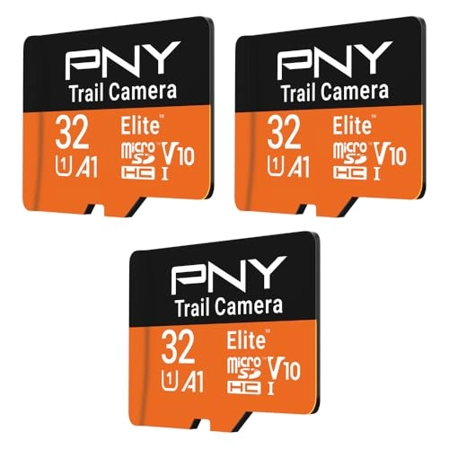 microSDHC Flash Memory Card - 32GB Pack