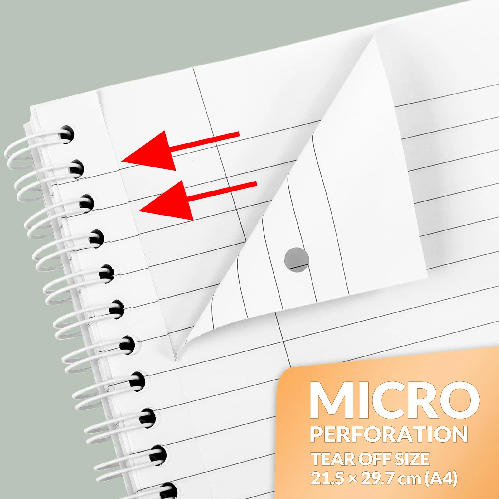 Notebook A4 Spiral - Lined 100 Sheets
