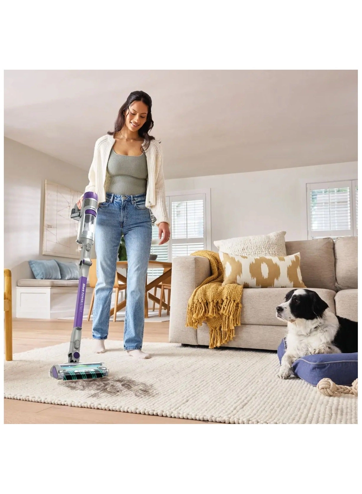 Power Detect (IP1251MET)