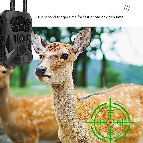 x2kvo01sut - 4G 36MP