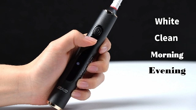 SG-2753 - Ultrasonic Rechargeable 8 Brush Heads 5 Modes