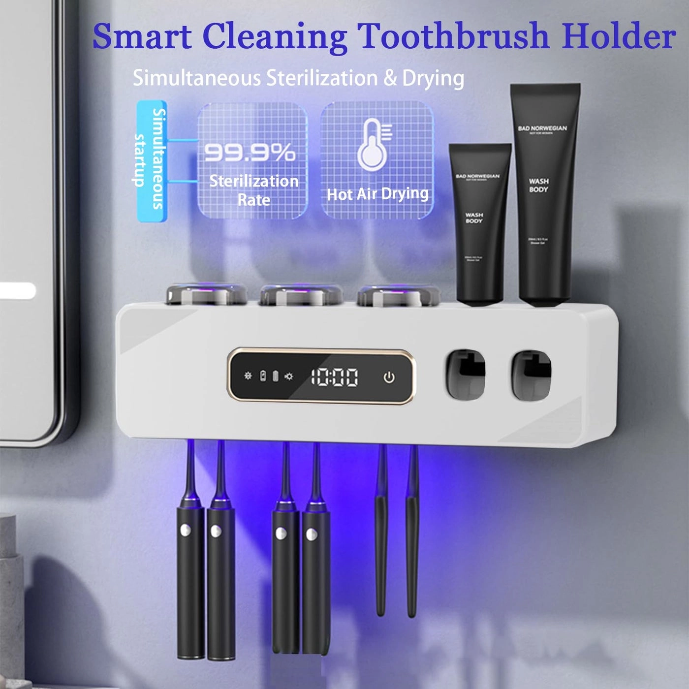 YSJ06 - wall-mounted 6 toothbrush slots