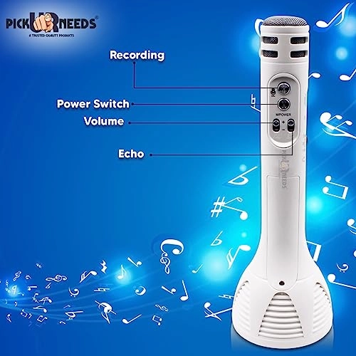 WS-1698 - Karaoke Mic Wireless Bluetooth