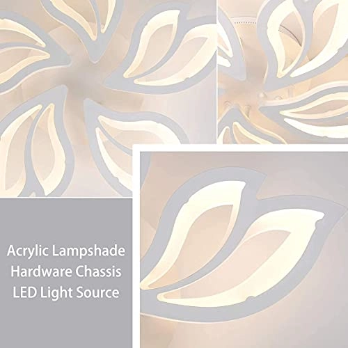 Modern Ceiling Light - 3000K-6500K Dimmable