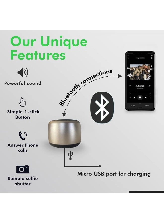 Wireless Bluetooth Portable Speaker