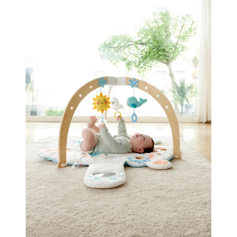 Snuggle Bear Foldable Activity Gym - 0 to 18 months