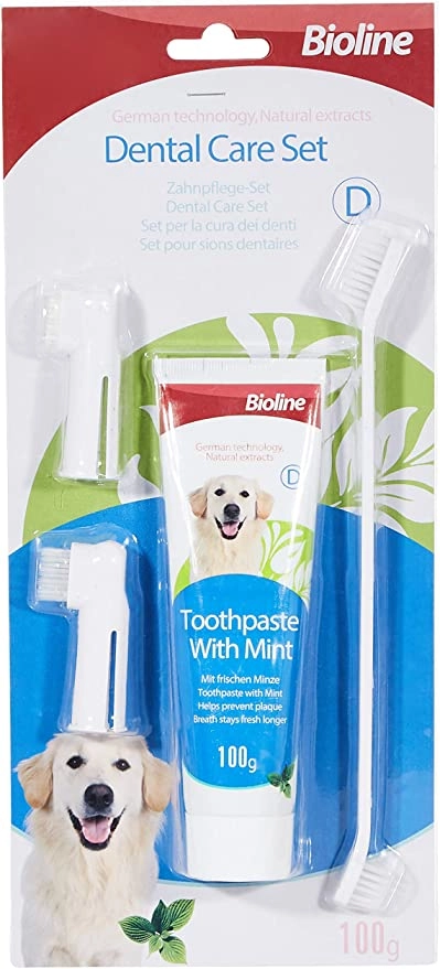 Dental Hygiene Set Mint Toothpaste 100G