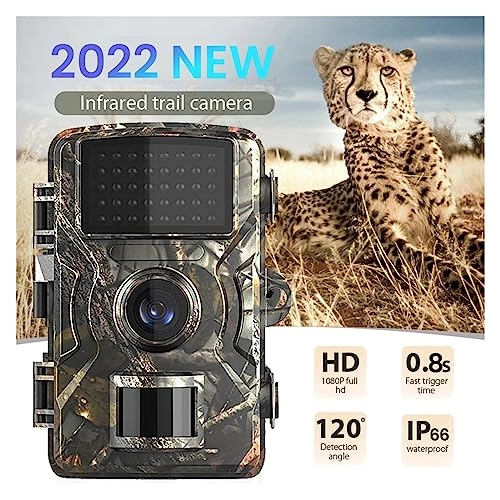 Wildlife HD Hunting Rear Camera - 16MP