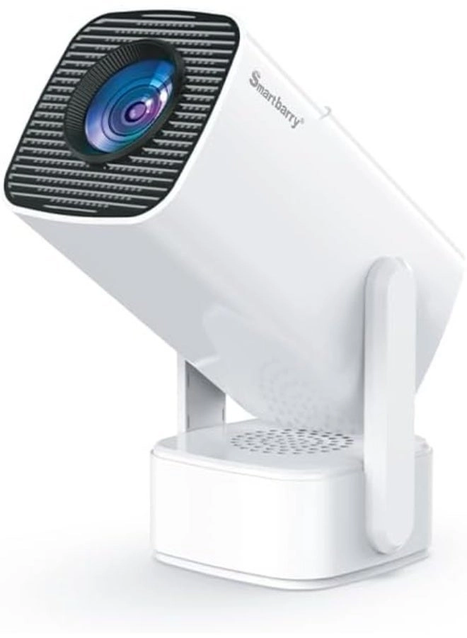 Smartbarry HT13 1280 x 720