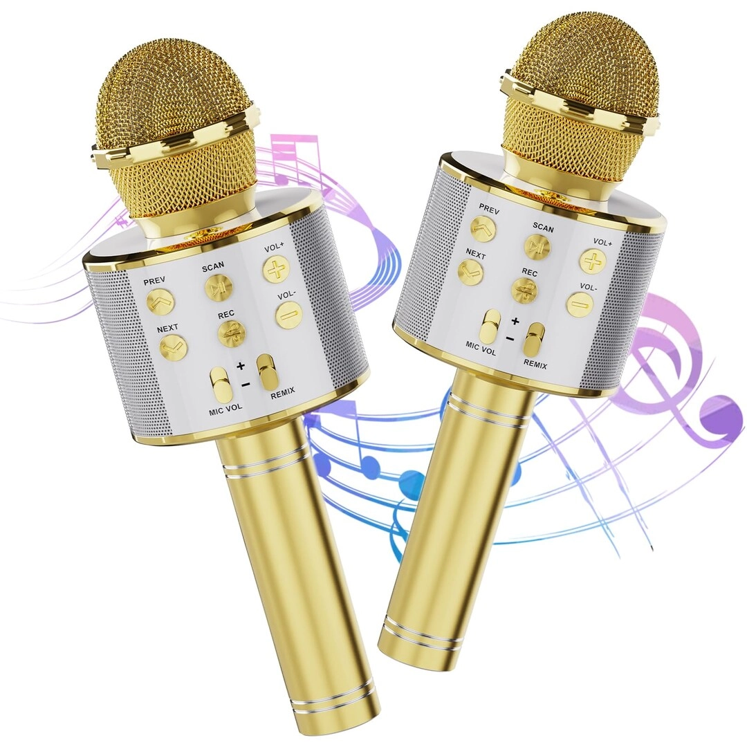 Caymuller Wireless Bluetooth Karaoke Microphone - 2 Pack