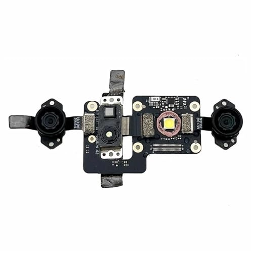 Downward Vision Module