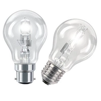 Bulbs