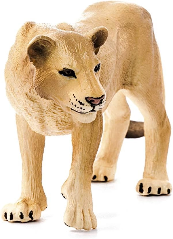 Lioness - 3 years and up Animal 1