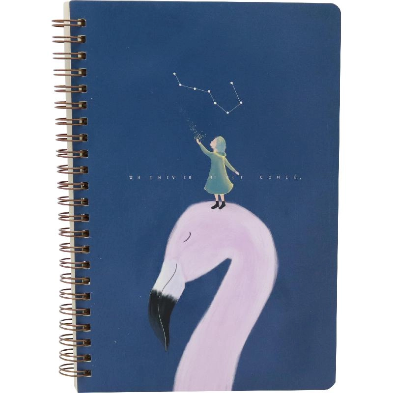 Notebook 19 X 26 cm Spiral - Grid 100 Sheets