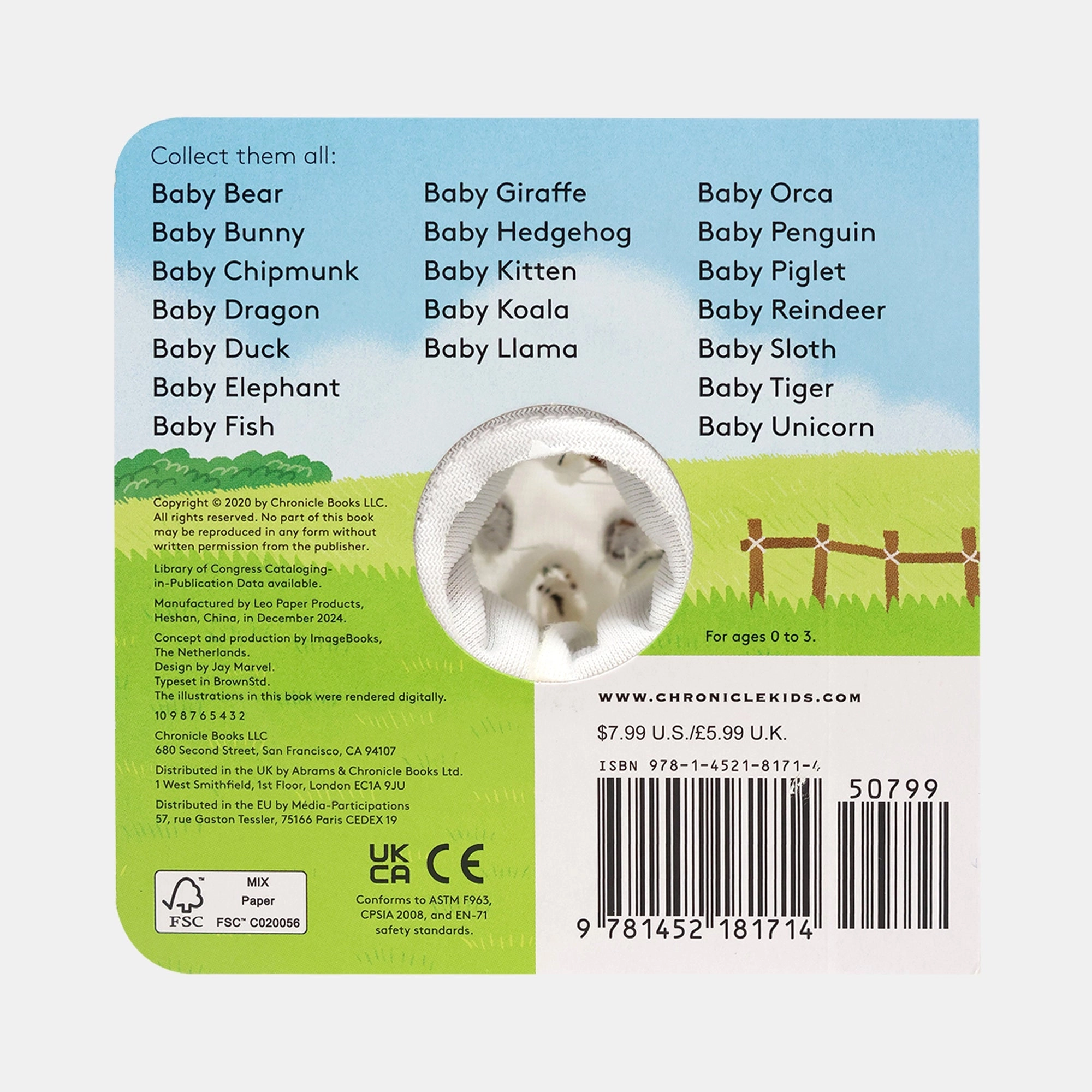 Baby Goat
