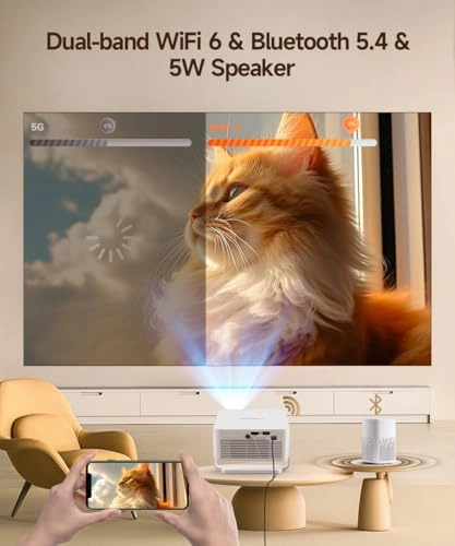 Freestyle HY300 200 ANSI