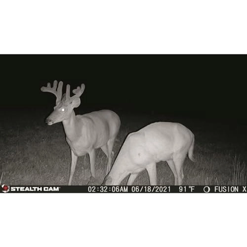 Sonix - Wireless 720P