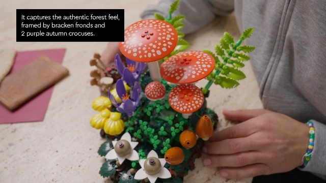 Woodland Mushrooms (11505) - Botanicals