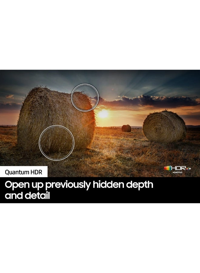 QA65QE1DAUXZN - 65 inch