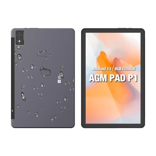 PAD P1 - 256GB 10.36"