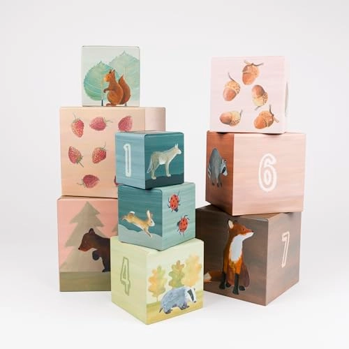 Pyramid Toy Set - 36 Months 9 pieces