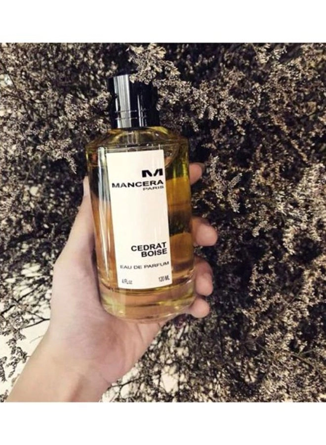 Cedrat Boise Eau de Parfum 120ml