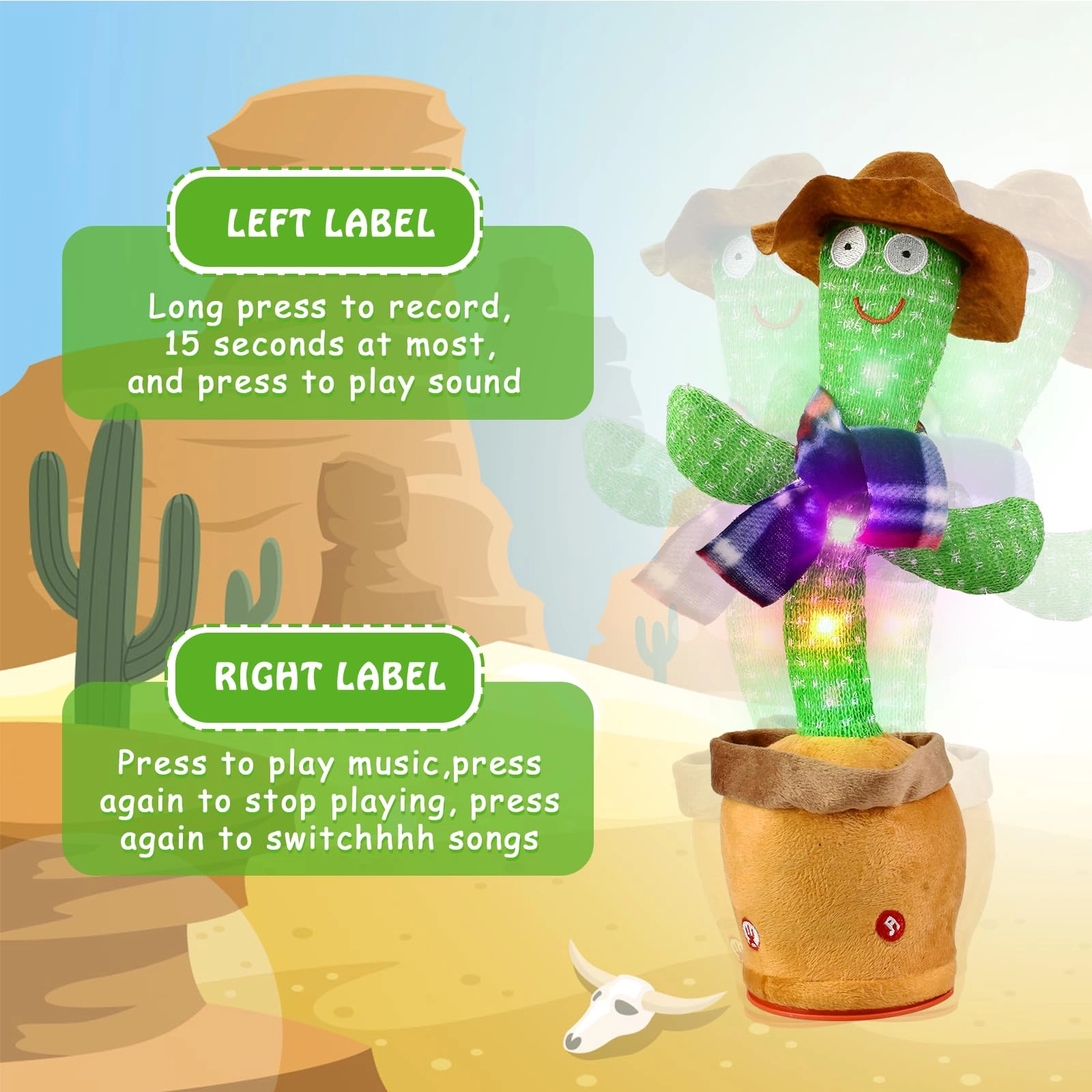 SBWBZB0924CT1 - 6 months+ Cactus