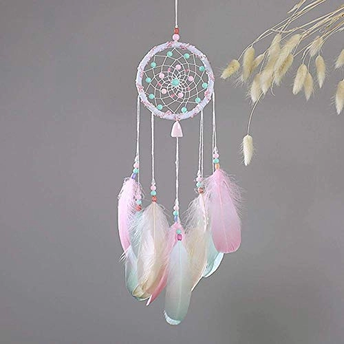 Dreamcatcher - Siderosphere, feathers, lines, wood beads.
