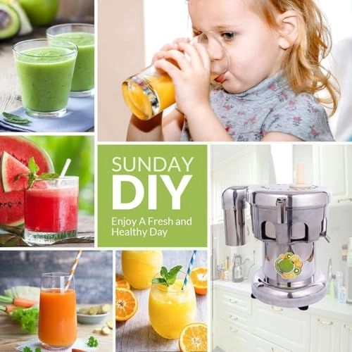 Juicer - 550W