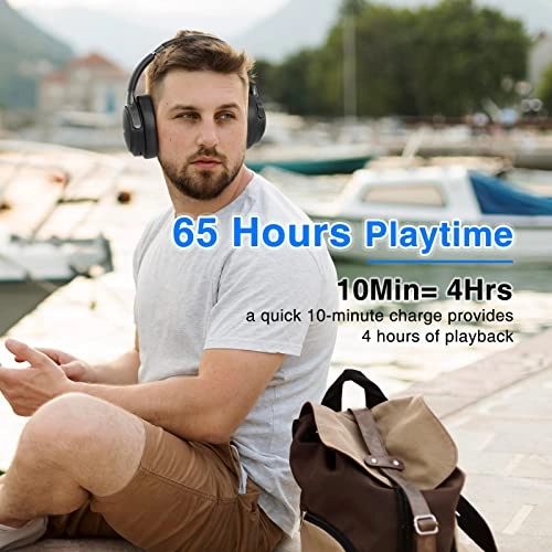 WH202A Wireless Headphone