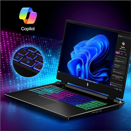 Nitro 17 AN17-42-R61S - 17.3'' Ryzen 5 8645HS 16GB DDR5 512GB SSD